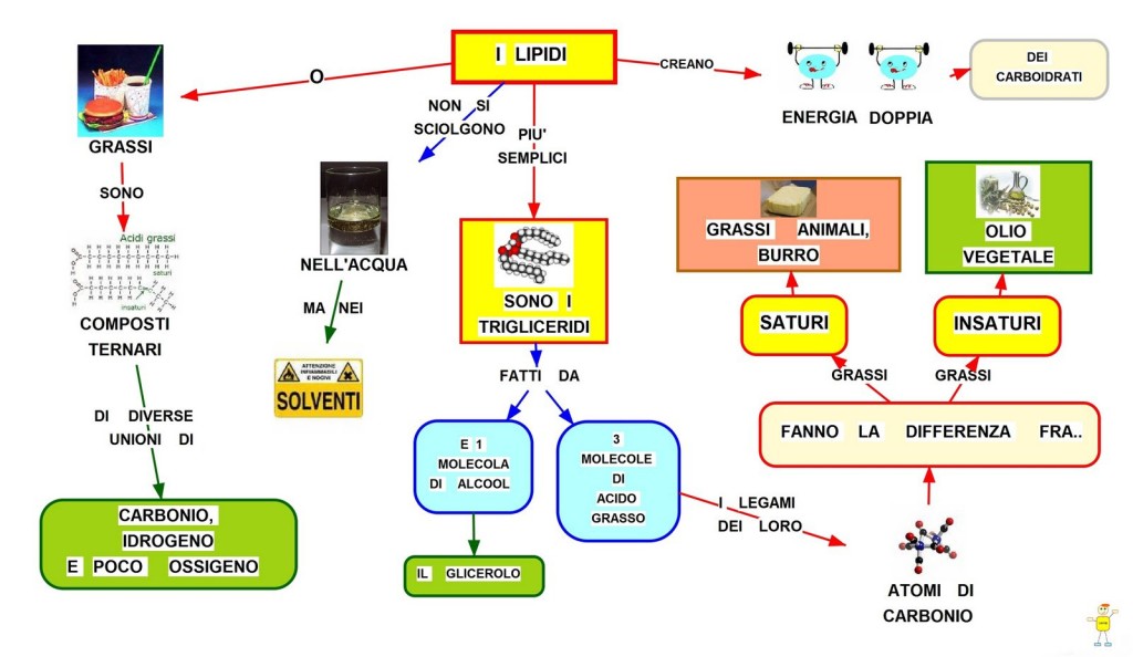 Lipidi|Macronutrienti|Lanza Personal Trainer|Personal Trainer Taranto