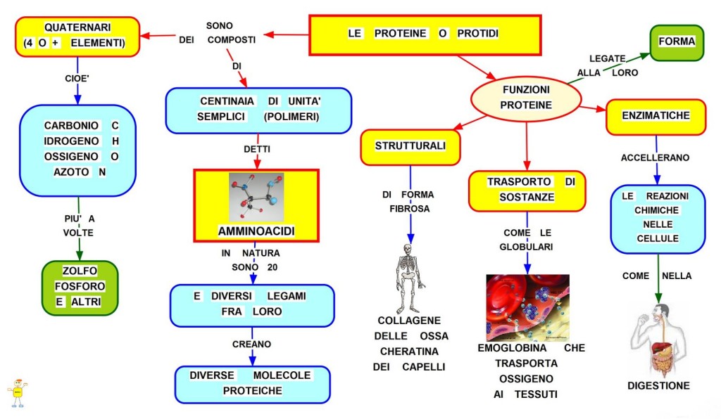 Proteini|Macronutrienti|Personal Trainer Tarnto|Lanz Personal Trainer